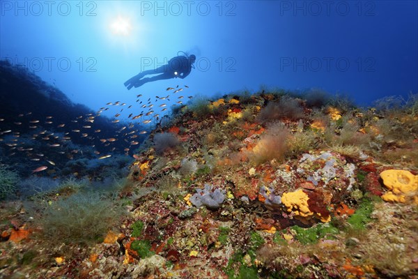 Diver by a vertical rock face