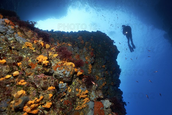 Diver by a steep rock face