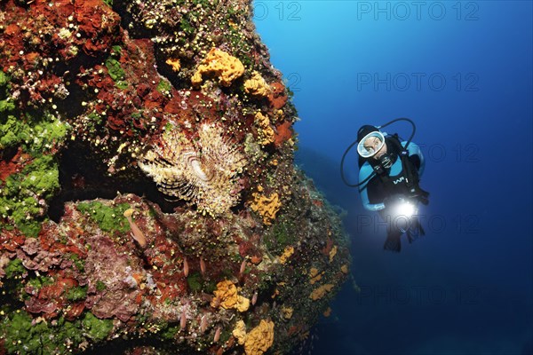 Diver with lamp