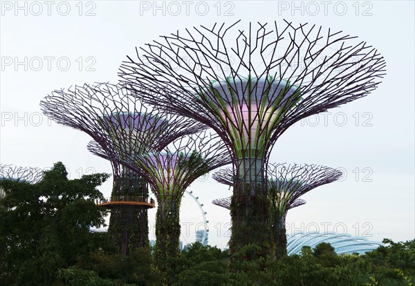 Supertrees in Singapore