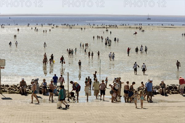 Strollers walking at low tide on the foreshore