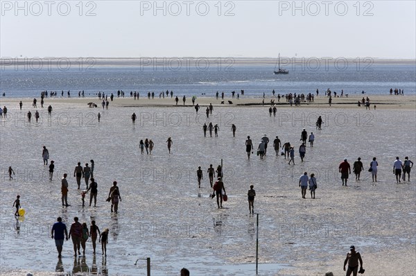 Strollers walking at low tide on the foreshore