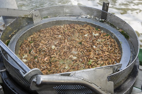 Processing crabs on a shrimp trawler