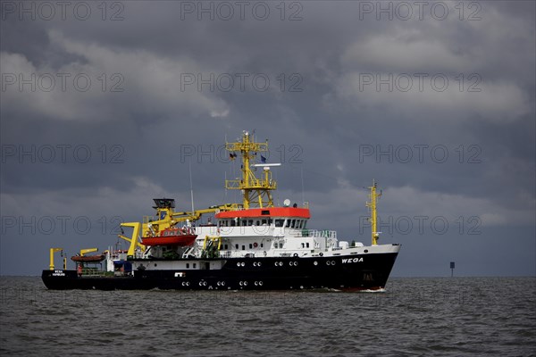 Wega container ship