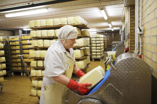 Dairy expert in the aging cellar of the Sarzbuttel fine cheese dairy