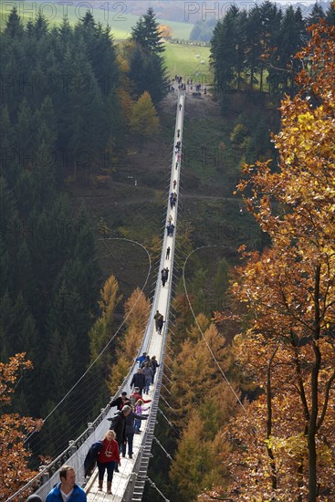 Suspension bridge over Geierlay Morsdorfer Bachtal