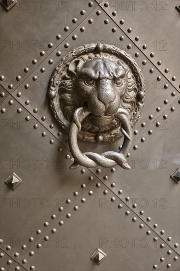 Door knocker