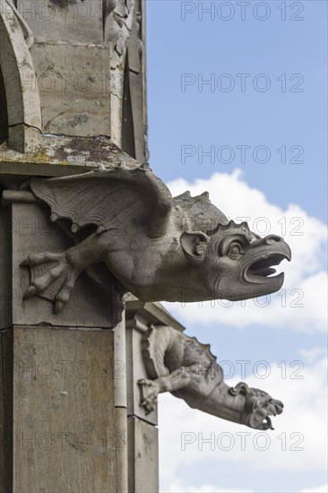 Gargoyles