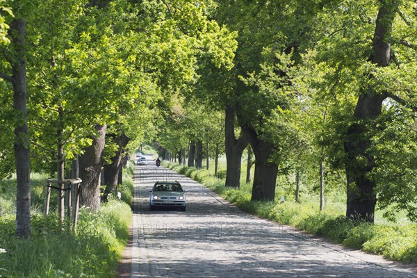 Deutsche Alleenstrasse