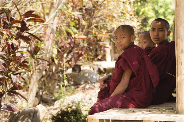 Young Monks