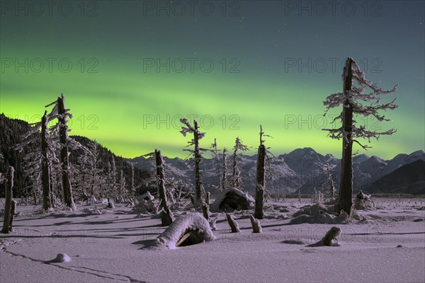Aurora borealis