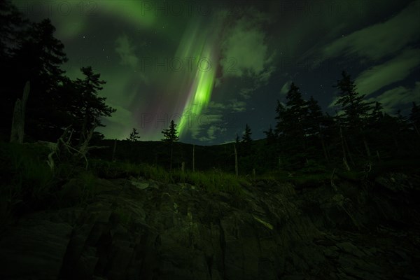 Aurora borealis over Prince William Sound