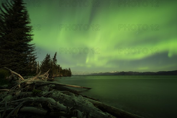 Aurora borealis and moonlight over Prince William Sound