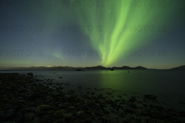 Aurora borealis and moonlight over Prince William Sound