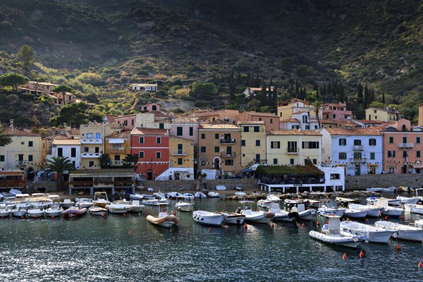 Harbour in Giglio Porto