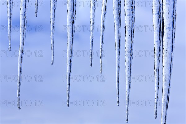 Icicles against a blue sky