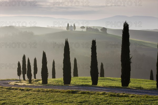 Cypresses in front of the Cappella della Madonna di Vitaleta