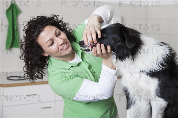 Veterinarian