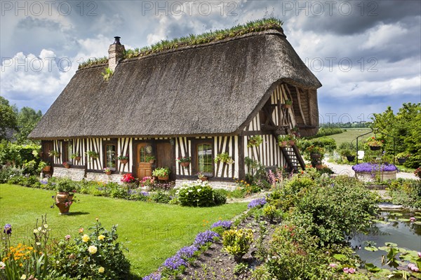 Tudor style house