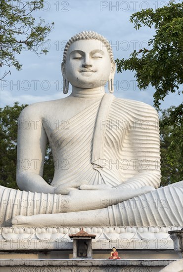 Buddha statue