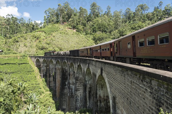 Train on Nine Arches Bridge near Ella