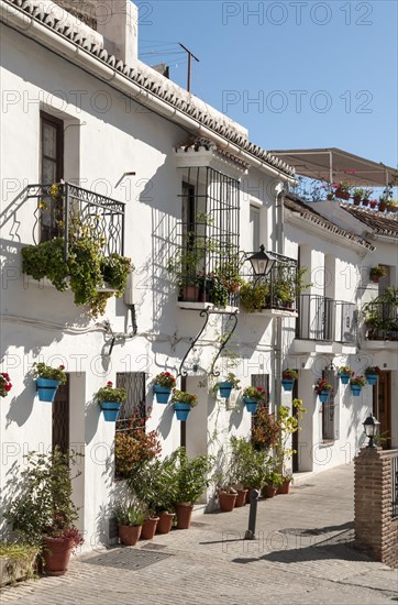 Calle Muro street with white-washed houses