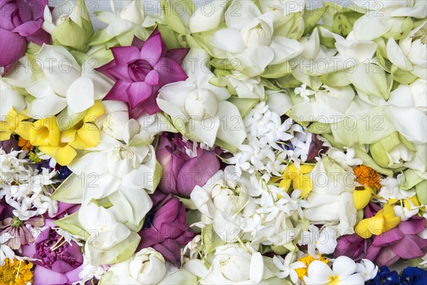 Flower offerings at Buddhist Mahiyangana Raja Maha Vihara Temple