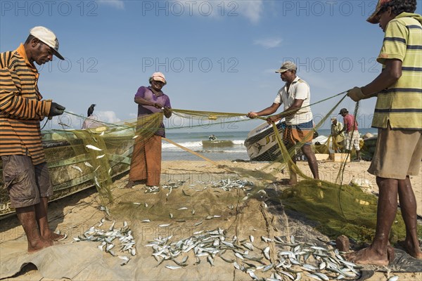 Fishermen at the Negombo fish market