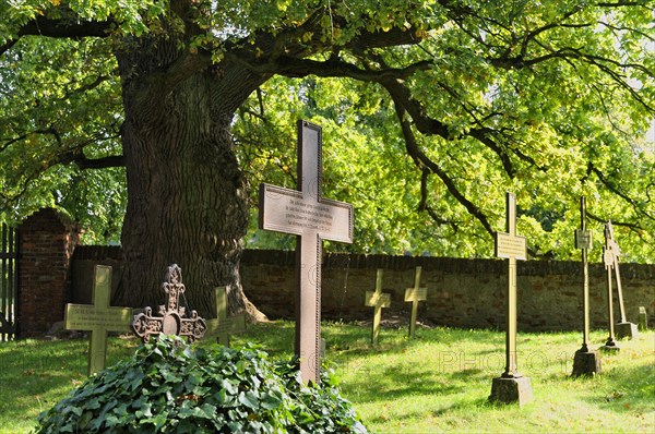 Old cemetery with iron crosses