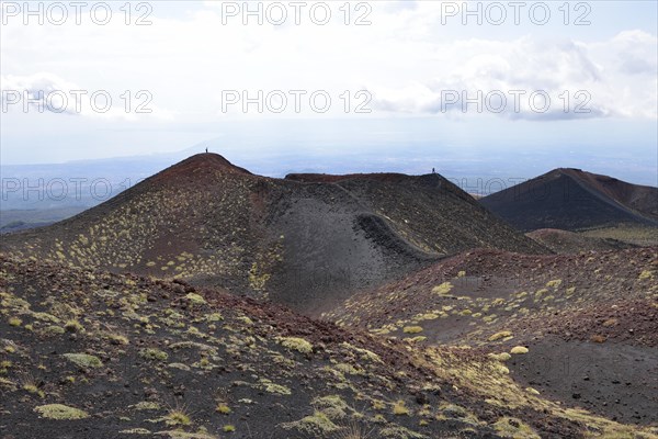 Black lava with vegetation at the crater Crateri Silvestri