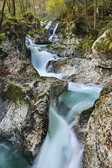 Lepenjica stream