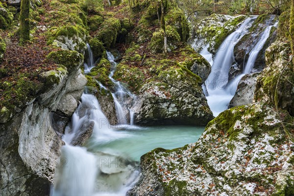 Lepenjica stream