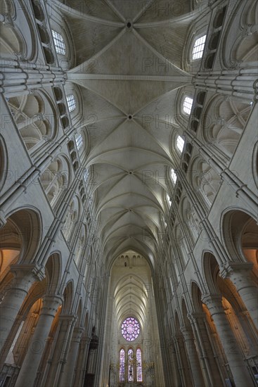 Nave