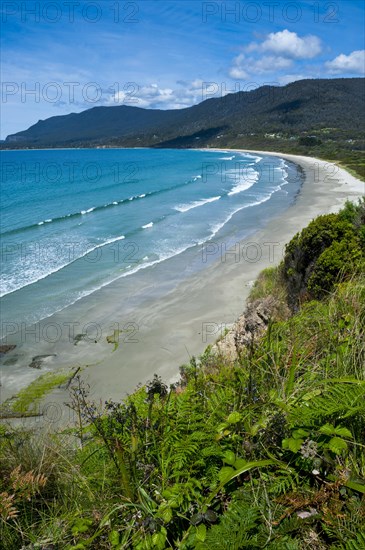 View over the Pirate Bay