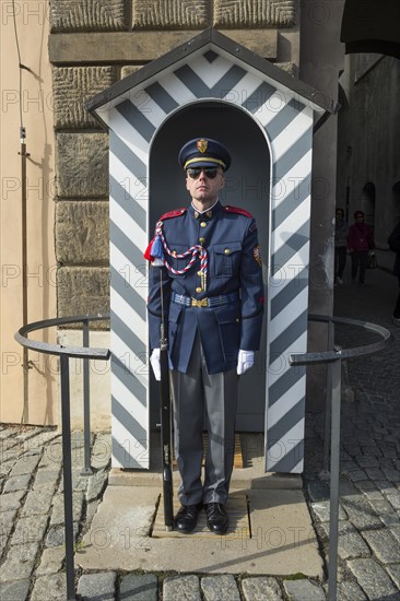 Watchguard in the Prague castle