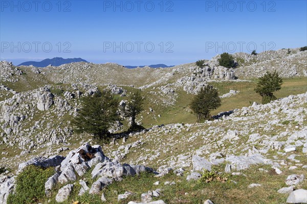 Monte Cervati