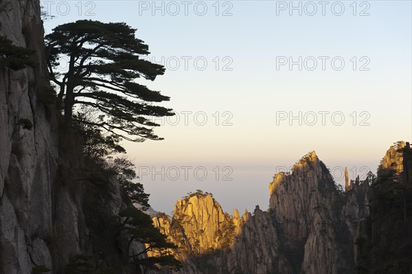 Bizarre towering rocks and mountains covered with scattered trees
