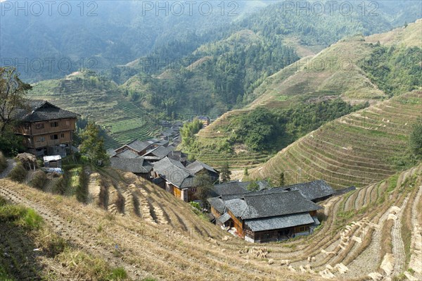 Longsheng rice terraces