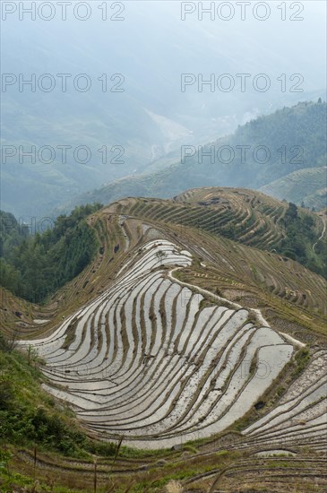 Longsheng rice terraces