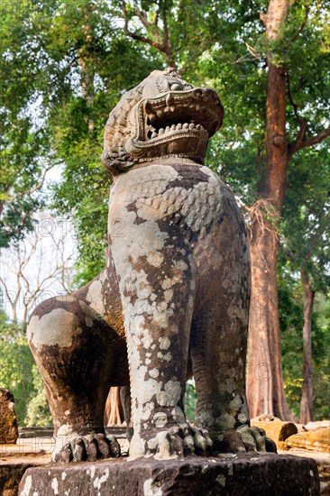 Ta Prohm Temple