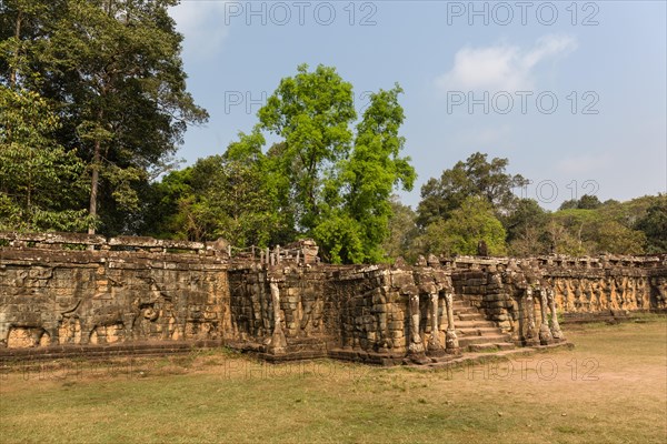 Elephant Terrace