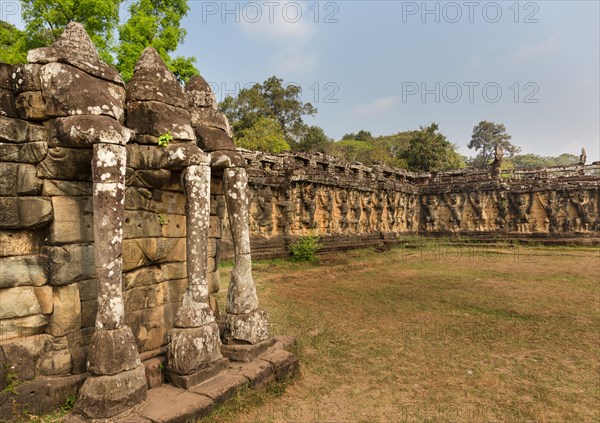 Elephant Terrace