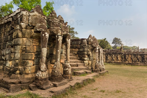 Elephant Terrace