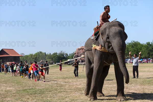 Tug of war with elephant and tourists at the Elephant Festival