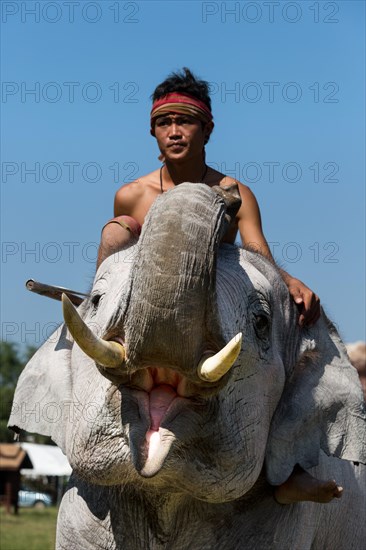 White elephant at the Elephant Festival