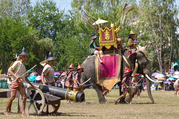 War elephant and cannon at the Elephant Festival