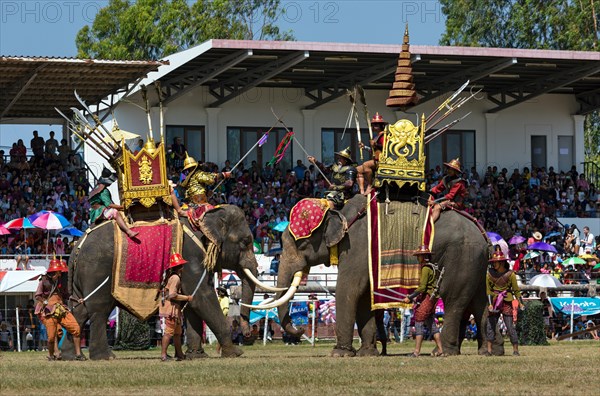 War elephants fighting