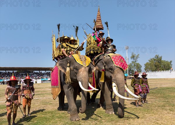 War elephants with soldiers