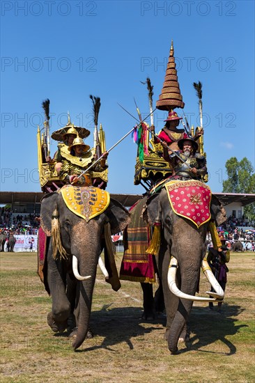 War elephants with soldiers