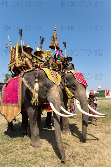 War elephants with soldiers